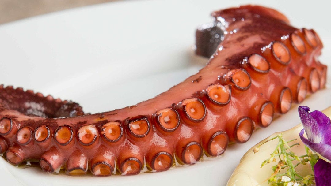 Cooked Octopus, Everything You Need To Know!