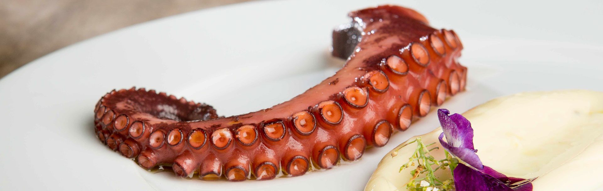 Cooked Octopus with mached potatoes