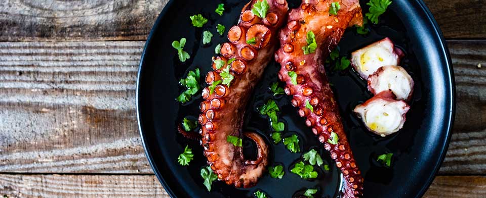 Octopus, Mediterranean seasonal seafood
